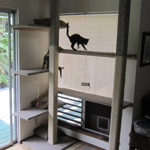 Cat Wall Shelf Set