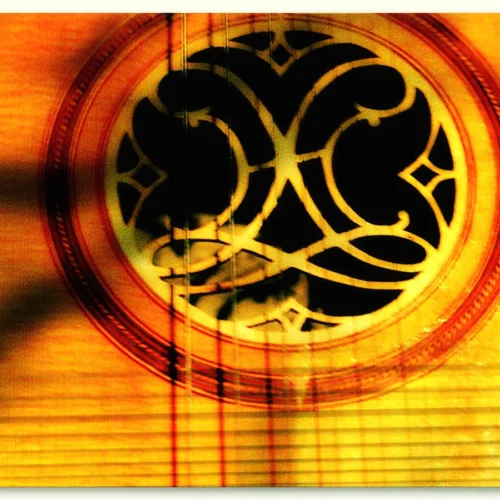 Acoustic Guitar with Gig Bag